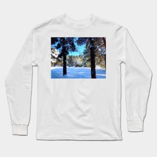 Scenery at the Sormovsky Park in Nizhny Novgorod with pine trees, spruces, and snow Long Sleeve T-Shirt